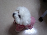 20100325_2.JPG