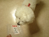 110518yokose.JPG